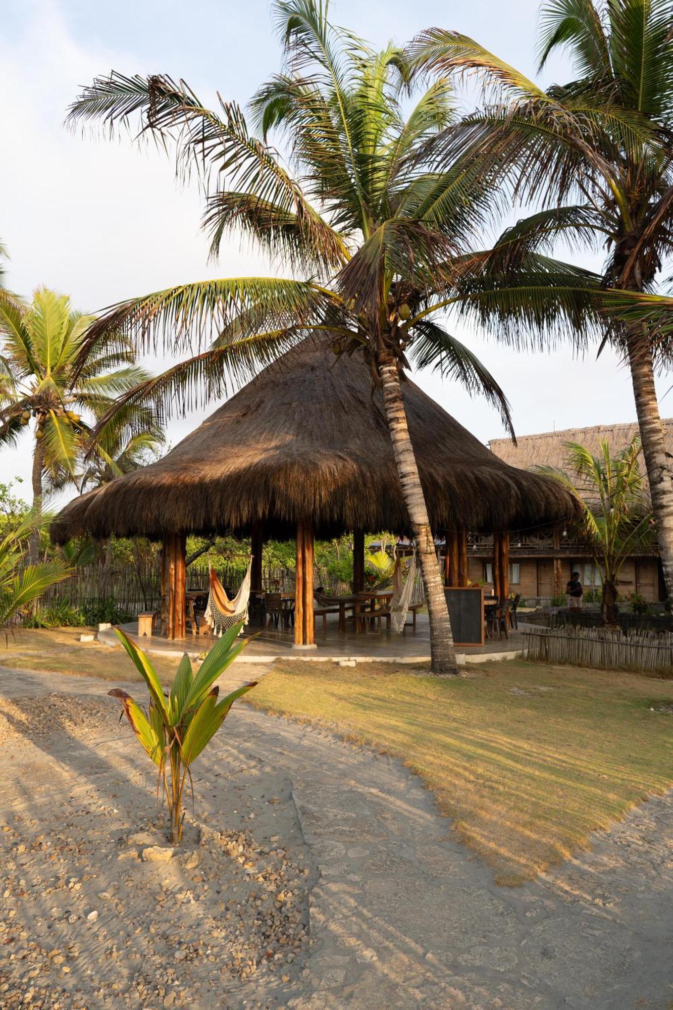 Paraiso Natural Ecohotel サン・ベルナルド・デル・ビエント エクステリア 写真